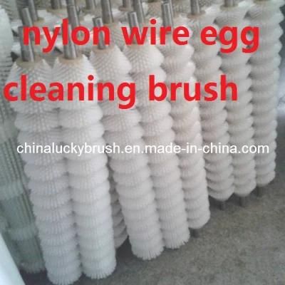 Nylon Wire Egg Cleaning Roller Brush (YY-321)