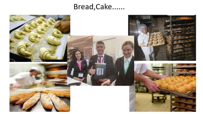 Commercial Bakery Rotary Baking Deek Complete Bakery Production Line Electric Gas Convection Oven Making for Bakeshop and Hotel Bread Baking Food Oven Equipment