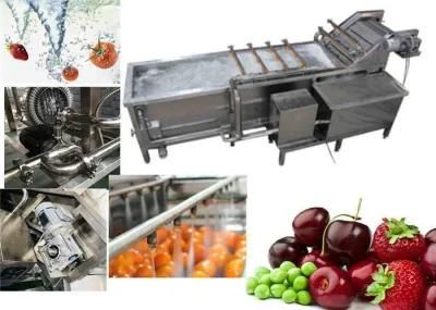 Water Spray Fruit and Vegetable Air Bubble Washing Machine