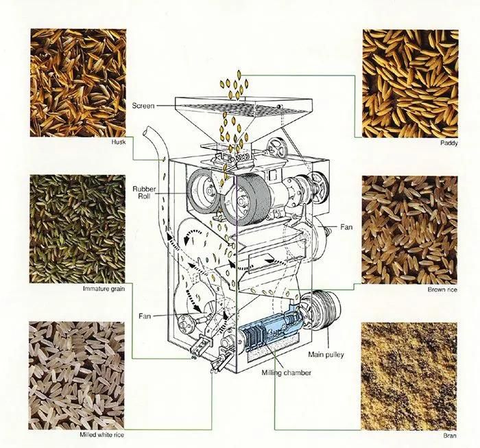 Combine Sb Rice Milling Miller Processing Machine Electric Automatic Grain Wheat