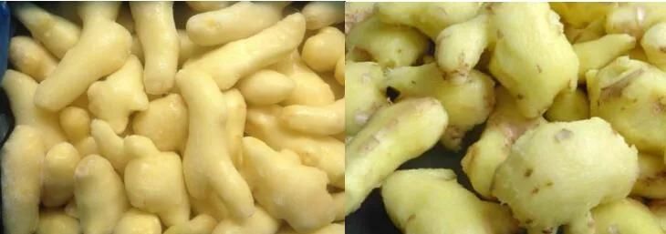Vegetable Washing Machine Electric Automatic Potato Radish Carrot Ginger Peeler