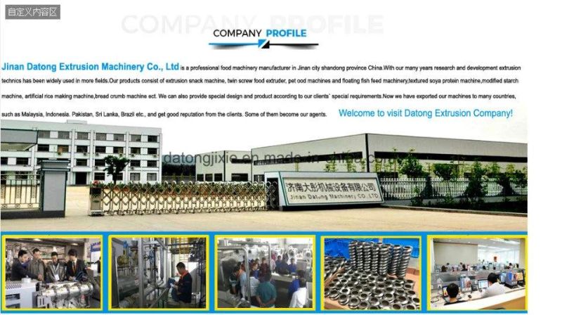 Breakfast Cereal Extruder Equipment Breakfast Cereal Corn Flakes Processing Line