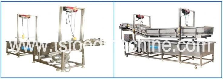 Automatic Vegetables Lettuce Bubble Washing Machine