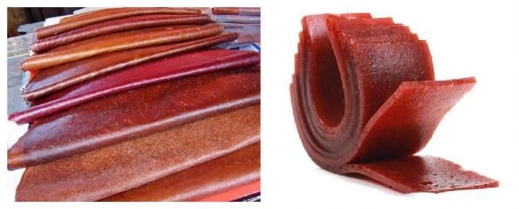 Shanghai Genyond Candy Fruits Processing Machine