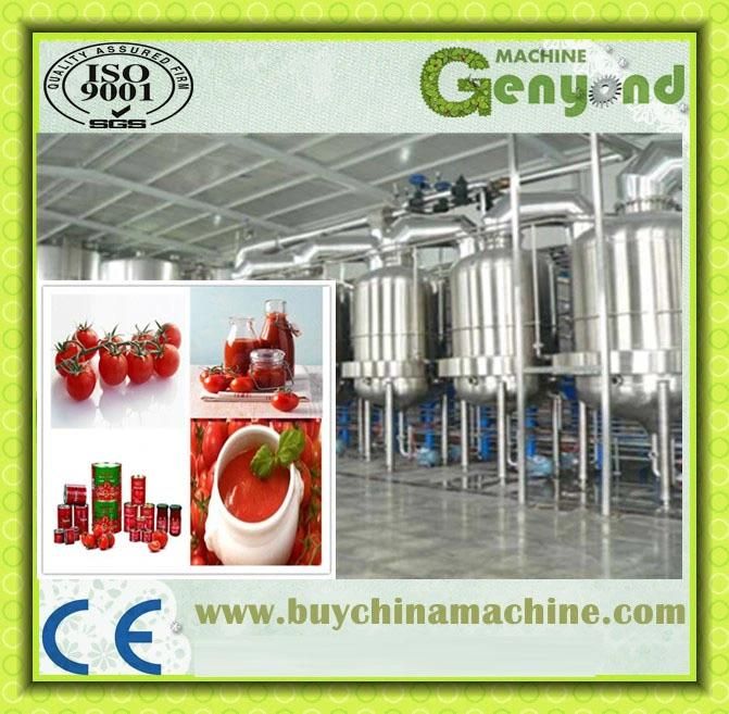 Tomato Paste Production Line /Machine