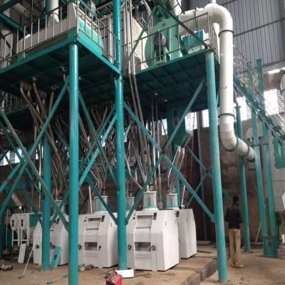 Most Best Price for 60t Per Day Wheat Milling
