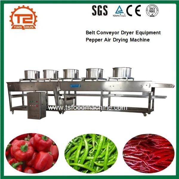 Fruit and Vegetable Belt Conveyor Dryer Equipment Pepper Air Drying Machine