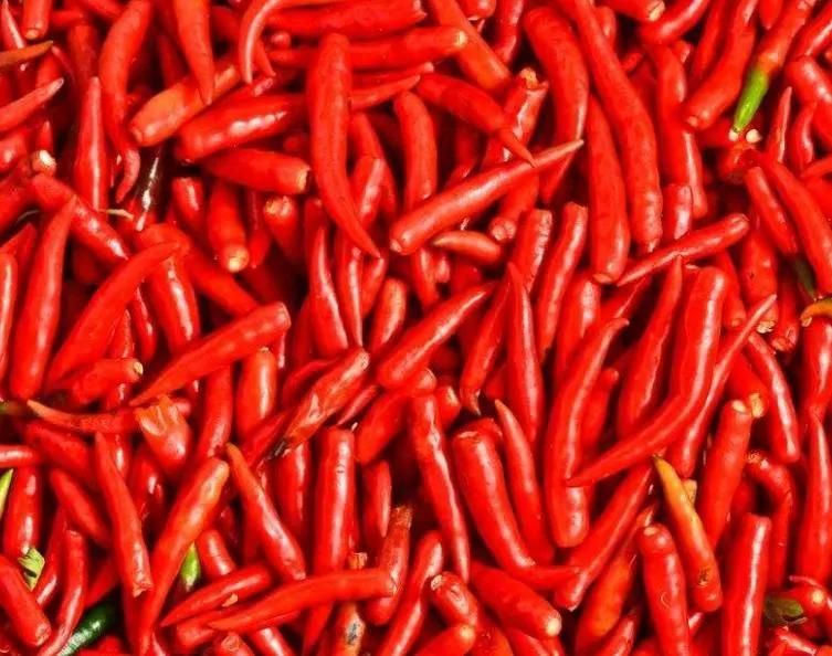 Professional Fruits and Vegetable Processing Equipment