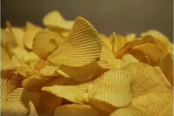 Single-Drum Flavoring Line/Drum Seasoning Machines Potato Chips Flavoring Machine