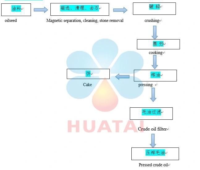 Mustard Oil Process Mustart Oil Extraction Equipment for Making Edible Oil