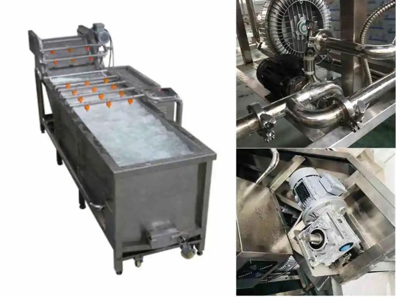 Low Cost Air Bubble Fruit Vegetable Washing Machine