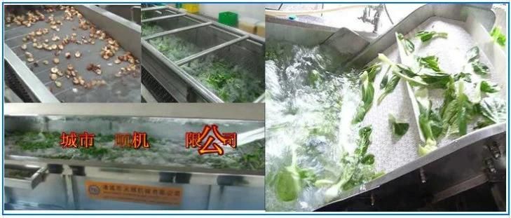 Automatic Bubble Washing Machine Lobster Washer