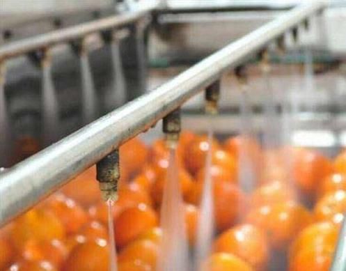 2019 Low Price Fruit and Vegetable Washing Equipment