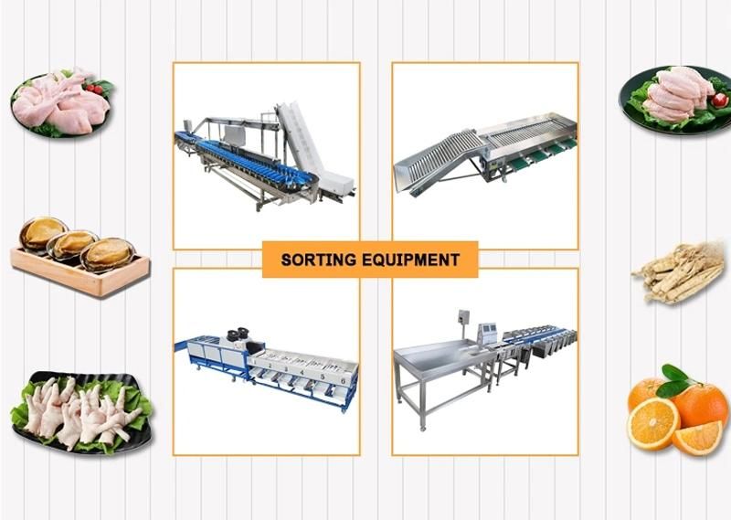 Factory Price Food/Fruit Processing and Sorting Machine