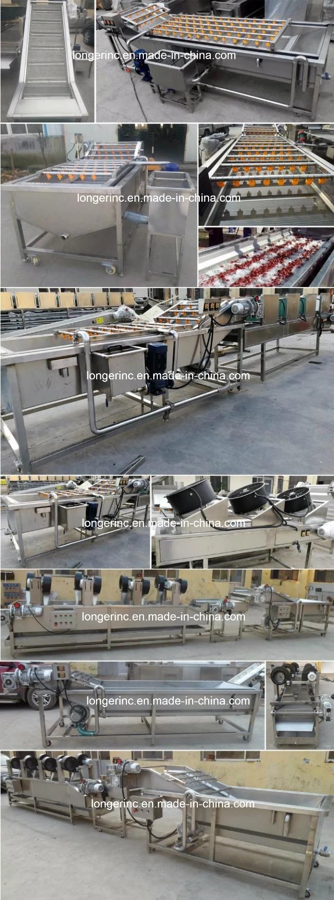 Industrial Blueberry Cleaning Machine Fruit and Vegetable Washing Line