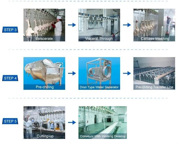 China Chicken Slaughter Production Line / Chicken Slaughter House for Sale