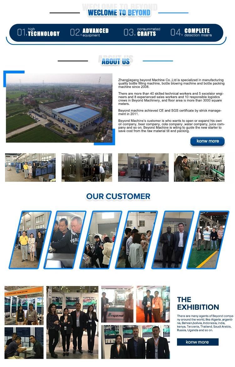 Pure Mineral Water Treatment Plant RO Plant (RO series)