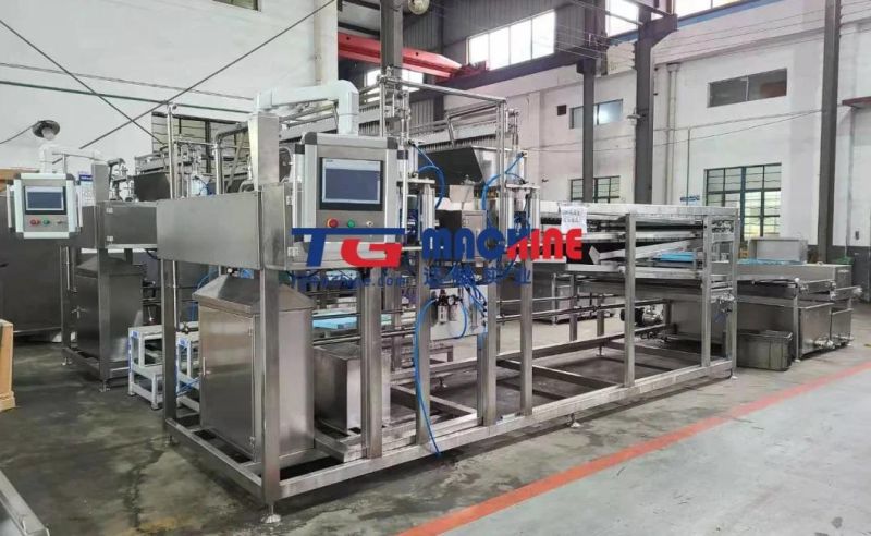 Tgp200 Fully Automatic Popping Boba Production Line