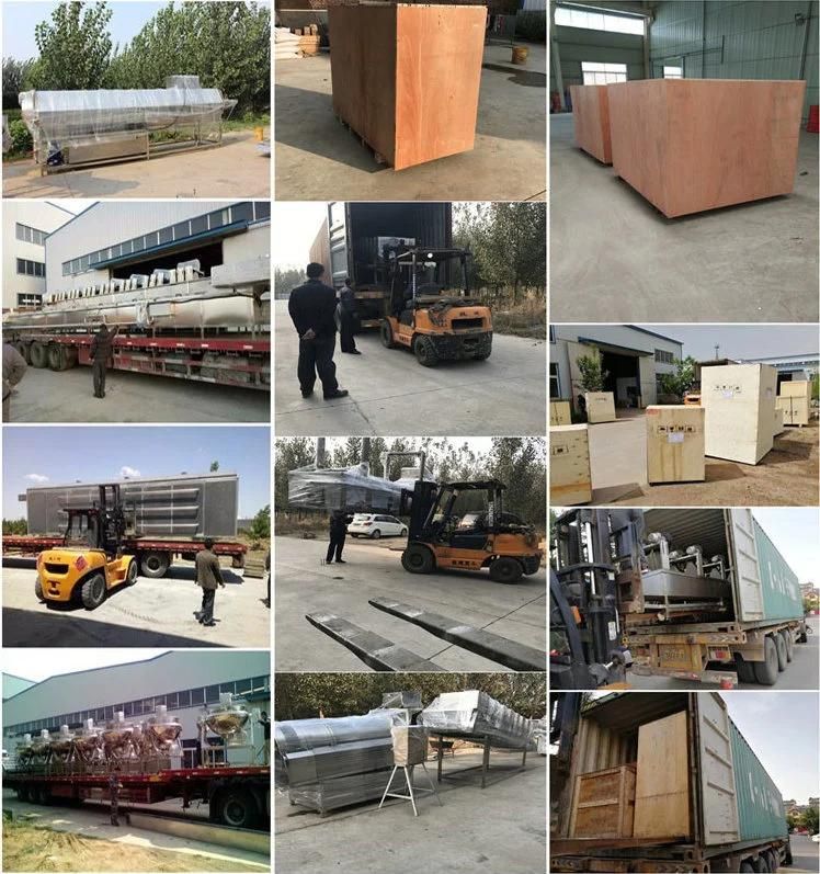 Autoamtic Potato Chips French Fries Production Processing Equipment