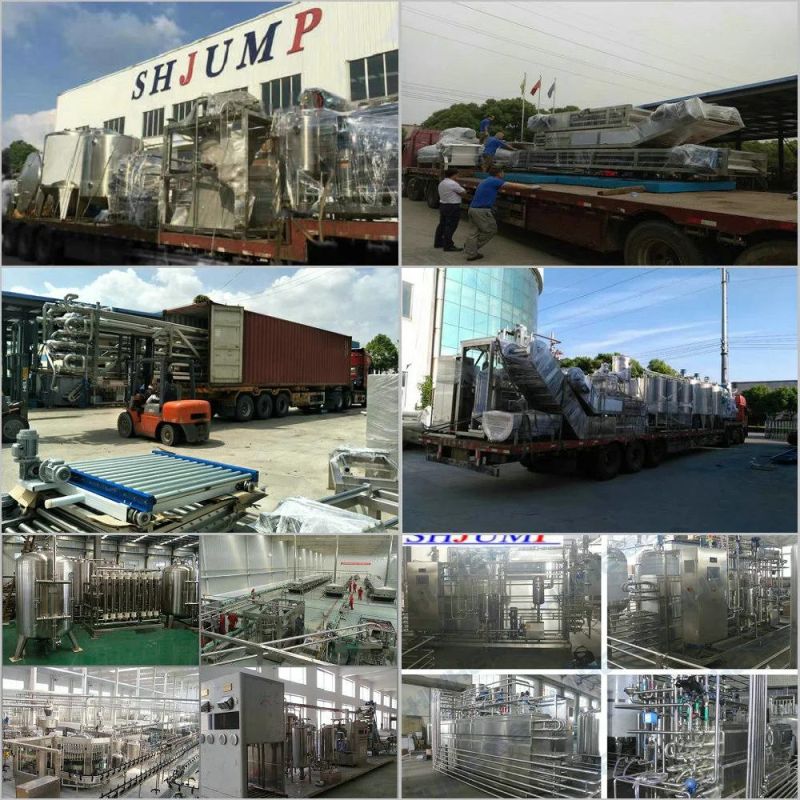 Mango Pulp Processing Line Mango Puree and Mango Frozen Puree Making Machine