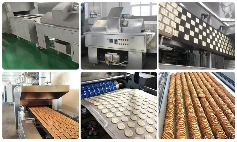 Cookies Biscuit Making Machine Durable Biscuit Machine Delicious Biscuit Making Machine