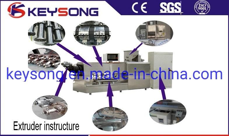 Slanty Snack Puffed Corn Chips Plant Food Making Machine