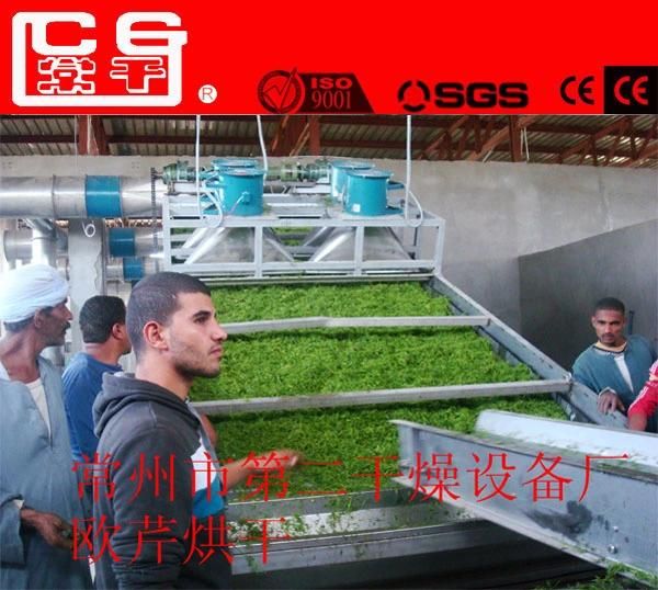 Stainless Steel Industrial Fruit Vegetable Drying Equipment