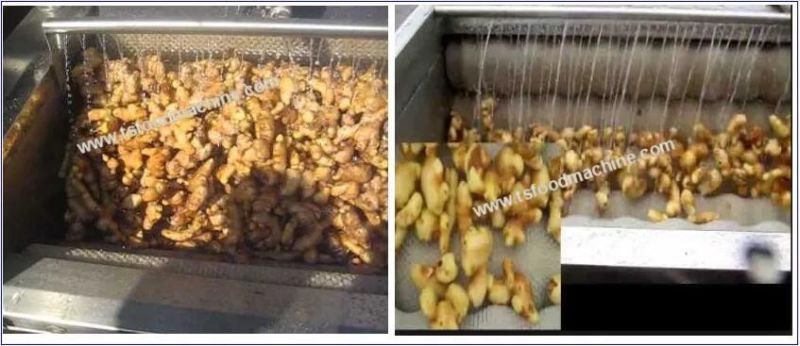 Fresh Young Ginger Washing Machine Ginger Machine