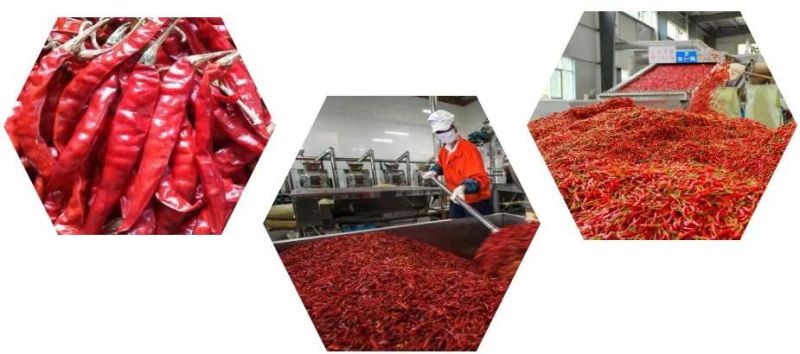 Vegetable Washer Naga King Chilli Washing Machine