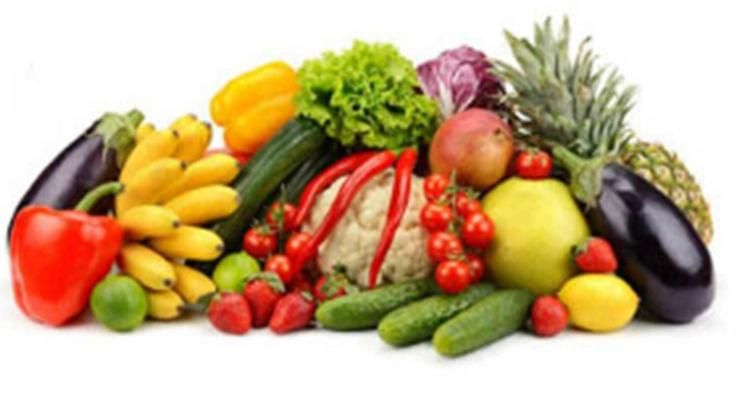 2019 Low Price Fruit and Vegetable Washing Equipment