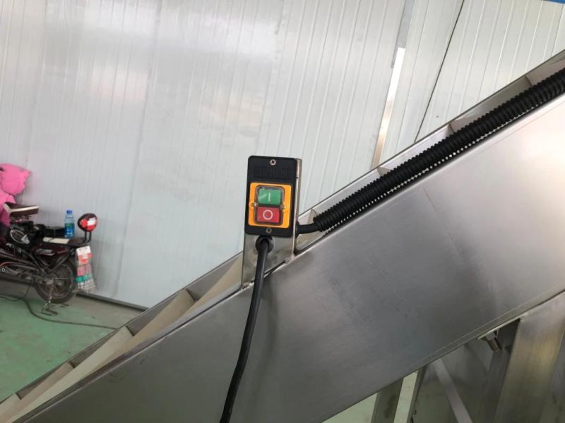 Potato Chips Belt Conveyor Vegetable Belt Hoister