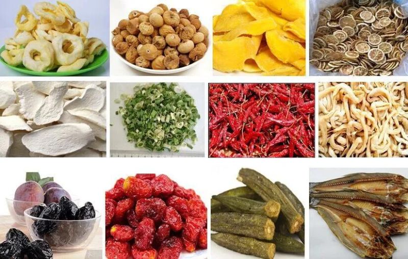Hot Air Circulating Oven Hot Air Fruit and Vegetables Dryer Machine