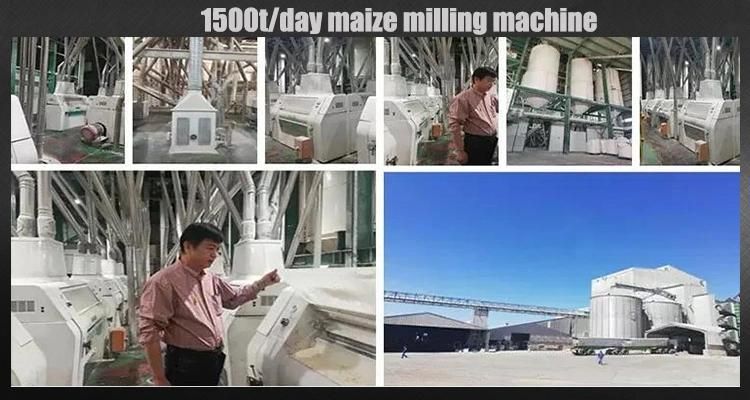 Uganda Office 100t Maize Milling Machine