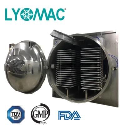 Freeze Dryer of Strawberry Powder/Dryer/Lyophilizer/Vacuum Dryer