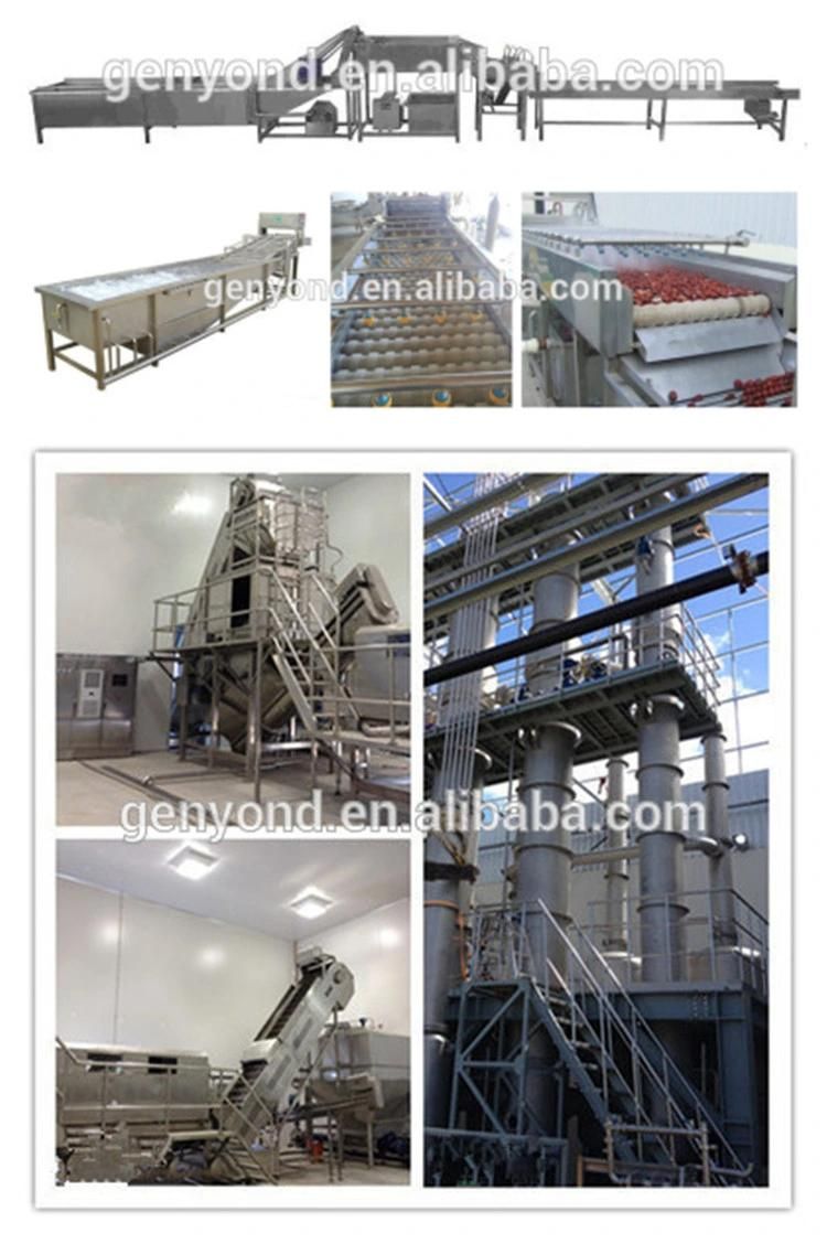 Top Quality Palm Dates Paste Production Line