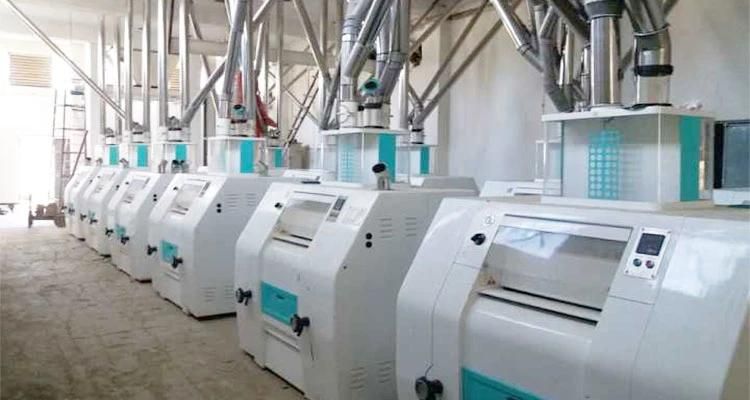 Automatic Running Eruopean Standard 100t/24h Wheat Flour Milling Line in Nigeria