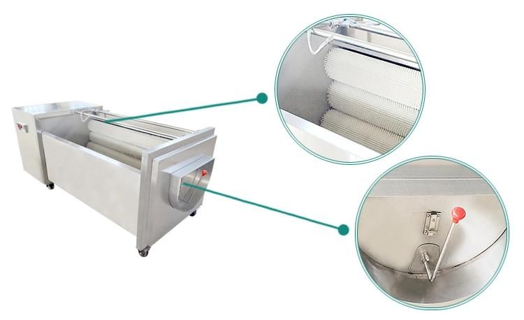 Beet Peeling and Washing Cleaning Machinery Beetroot Peeler Machine