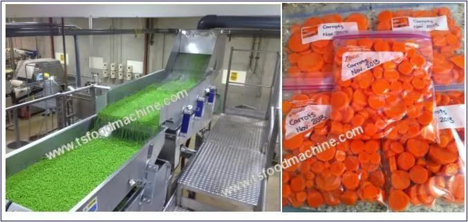 Food Processing Machine and Hispanic Vegetables Blanching Machine