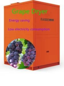 Brand New Grape Dryer/ Fruit Drying Machine Heat Pump Market