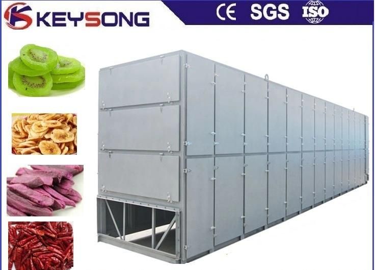 Ginger Chilli Pepper Tomato Fruits Vegetables Plant Drying Machine