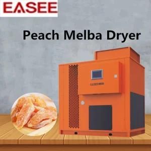 Stainless Steel Intelligent Farm Drying Machinery Peach Malba Dryer Fruit Dehydration