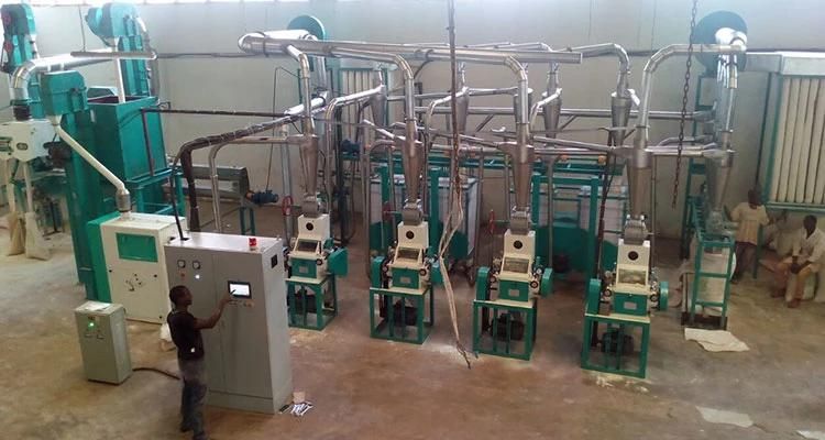 Maize Roller Mill Grinding Africa Super White Maize Meal