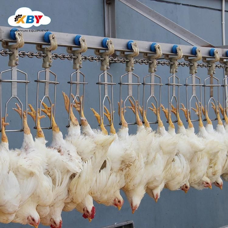 Chicken Feather Processing Equipment Slaughterhouse Machine Abattoir Machinery