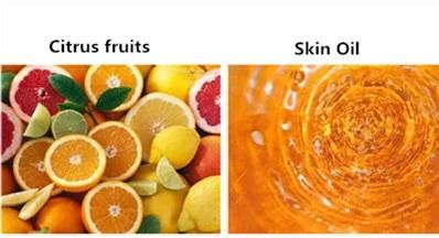 Citrus Fruits Essential Oil Extractor