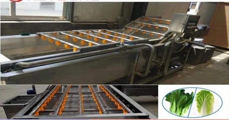 Commericial Vegetable and Fruit Food Washing Cleaning Machine