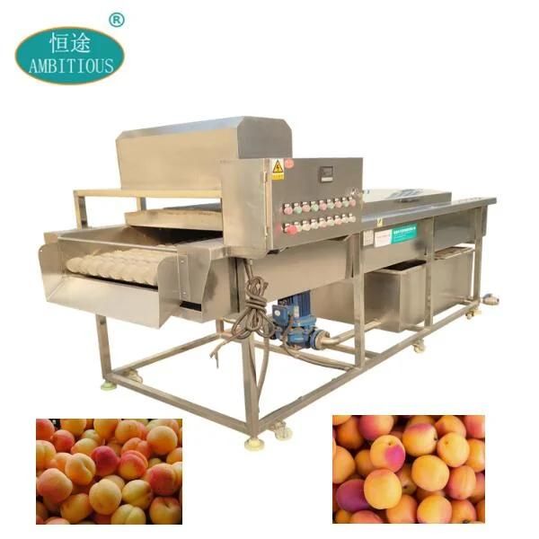 Apricot Cleaning Machine Apricot Brush Washing Machine