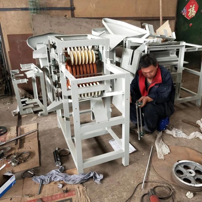 Wet Method Peanut Peeler Broad Bean Almond Peeling Machine