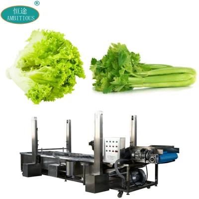 Vegetable Washing Machine Convayer Vegetables Washing Machine for Lettuce Celery