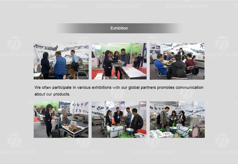 Automatic Vegetable Washer Cassava Potato Onion Brush Peeler Price Button Plate Wave Roller Cleaning Peeling Machine Food Processor (TS-M300)