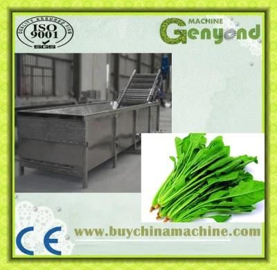Shanghai Automatic Washing Machine for Vegetable Processing